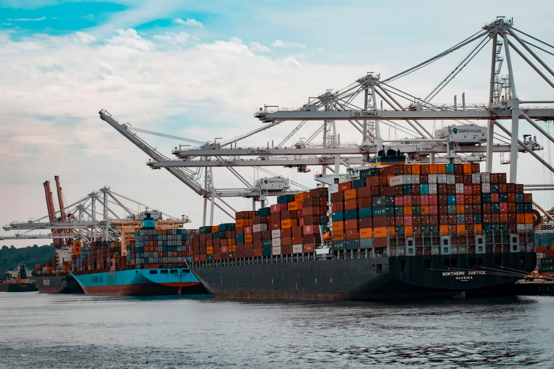Containerschip onder havenkranen